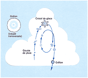 grele-schema