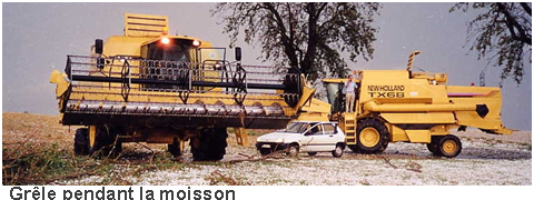 vehicule-avec-legende